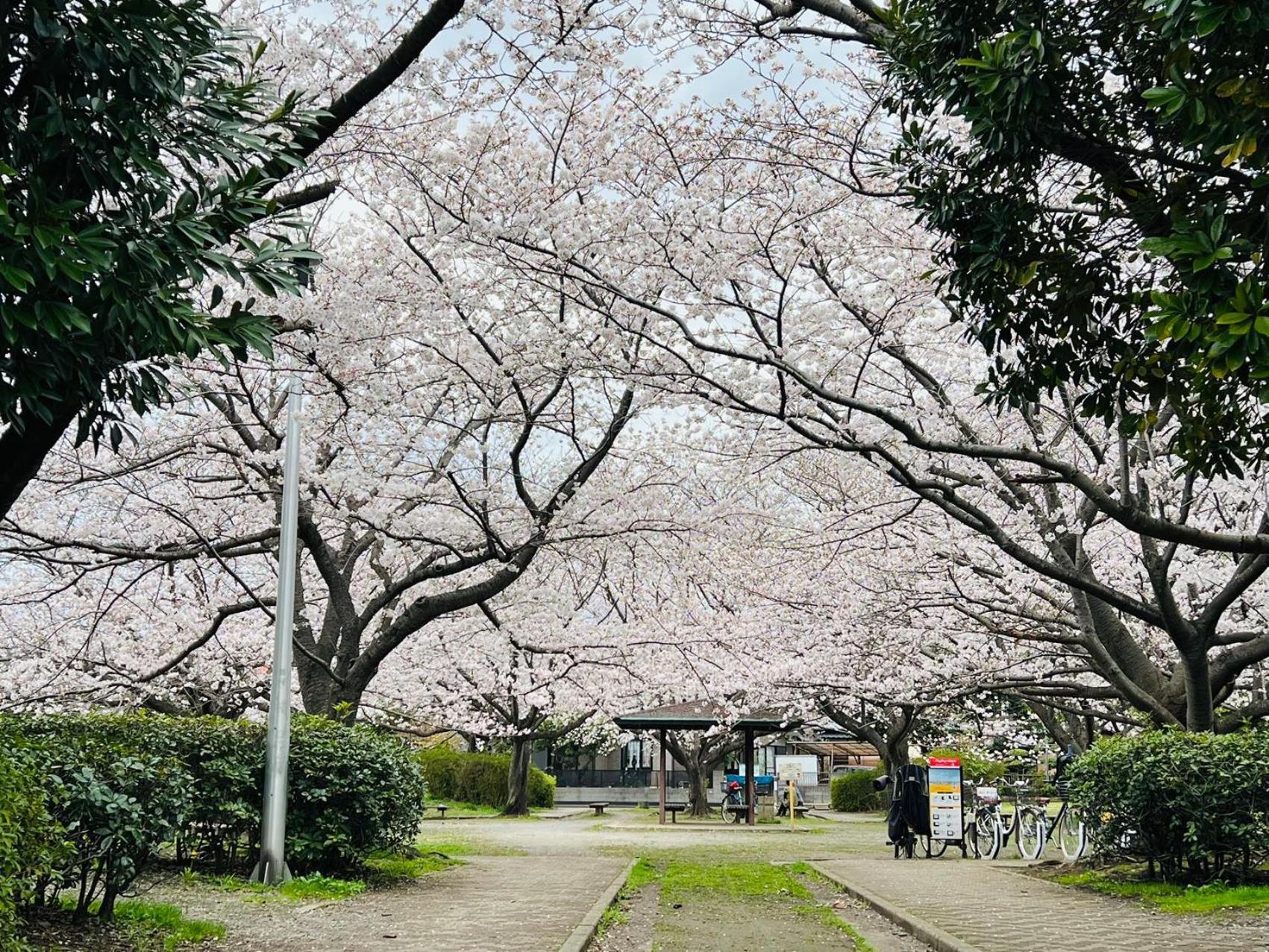 千葉市スペース海浜幕張ハウスアパートメント エクステリア 写真